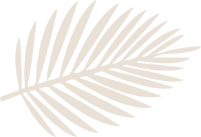layout-slider2-01