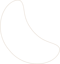 layout-slider2-02